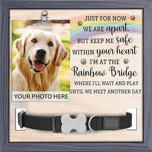 Pawfect House 9x9 Inches Pet Memorial Picture Frame With Collar Holder, Pet Memorial Gifts For Dogs, Loss Of Dog Sympathy Gift, In Loving Memory Rainbow Picture Frame, Dog Bereavement Gifts