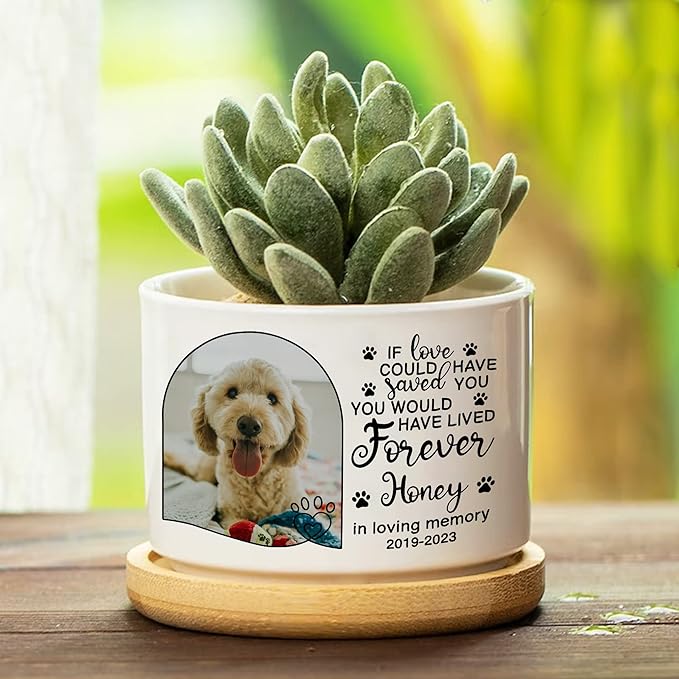 Personalized Pet Dog Memorial Plant Pots Pet Remembrance Dog Photo Plant Pot Bedroom Decor Funeral Keepsake Memorial Bereavement Gifts For Loss Of Pet Picture Gifts For Someone Lost Pet