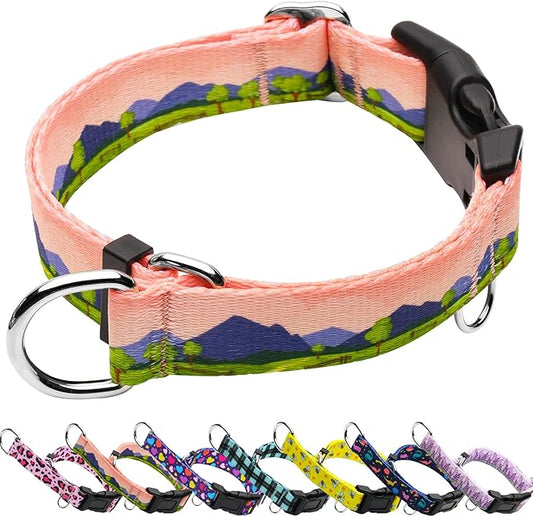 Martingale Collar for Dogs with Buckle No Pull Adjustable Nylon Limited Slip Training Dog Collars (Red Sunset, Small)