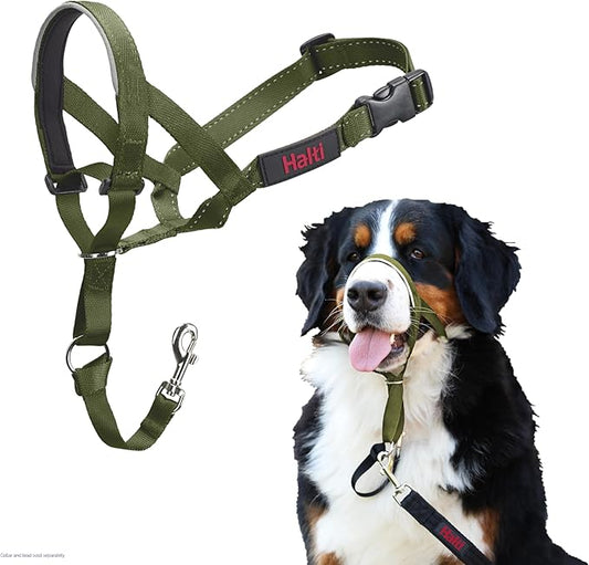 Halti Headcollar - Stop Your Dog Pulling on The Leash. Adjustable, Reflective and Lightweight, with Padded Nose Band. Dog Training Anti-Pull Collar for Large Dogs (Size 4, Forest Green)