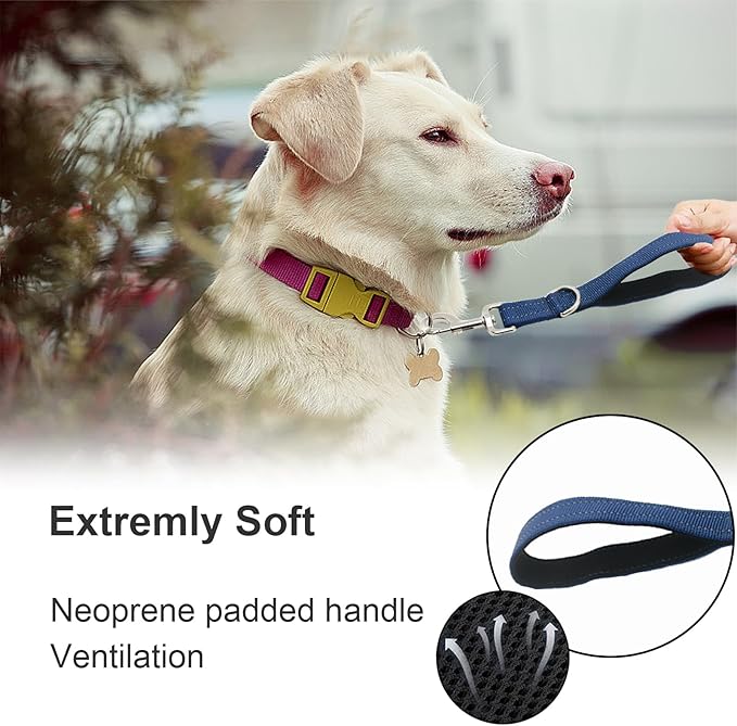 Standard Training Leashes 12 Inches for Dogs, Short Traffic Dog Leash Heavy Duty Padded Handle, Nylon Anti Pull for Reflective, Short Line Dog for Small, Medium and Large Dogs 1 FT Blue