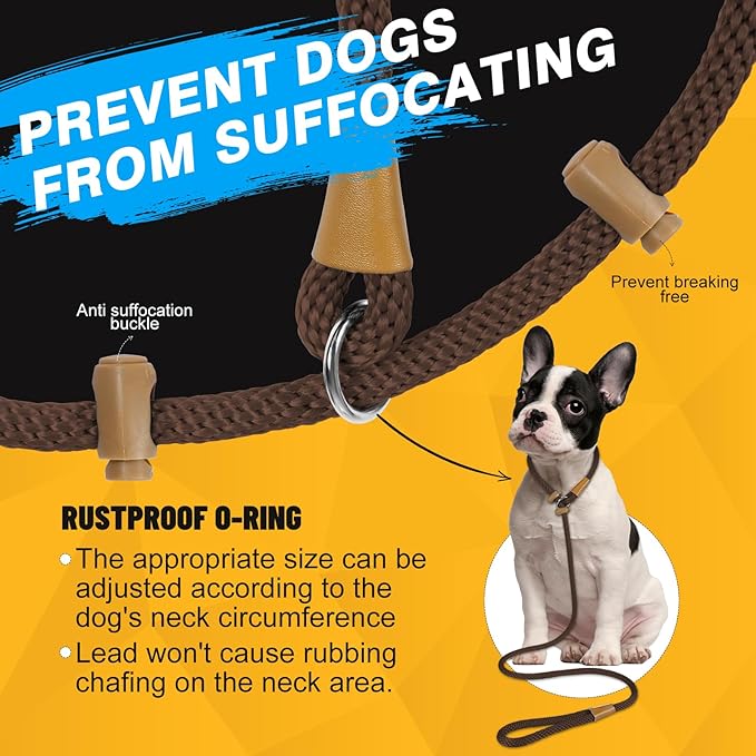 FASTFOX Dog Training Leash, 6ft x 1/2 Inch Slip Lead Loop for Small Medium Large Dogs, No Pull 3-in-1 (Brown)