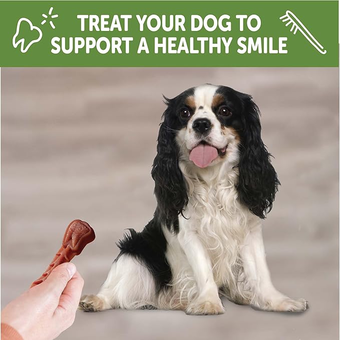 Whimzees Wellness Brushzees Dog Dental Treats, Small Size Stick, (24 Count)