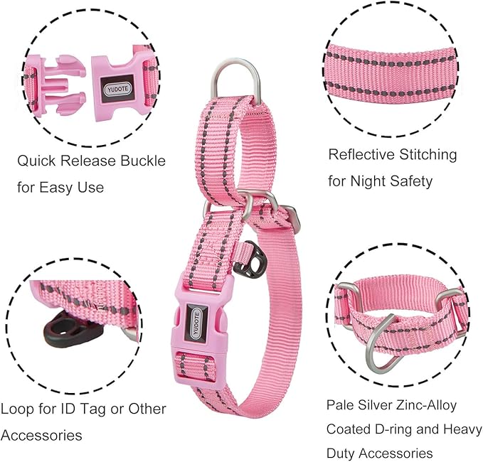 Reflective Martingale Collar for Dogs with Quick Snap Buckle Anti-Pull Nylon Safe Slip Collars for Easy Walking,Pink,Small