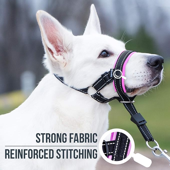 GoodBoy Dog Head Halter with Safety Strap - Stops Heavy Pulling On The Leash - Padded Headcollar for Small Medium and Large Dog Sizes - Head Collar Training Guide Included (Size 2, Pink)