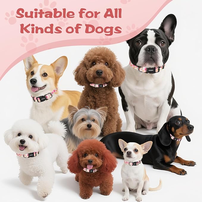 Kazazoo Dog Collar Cute and Soft Nylon Puppy Collar Girl, Adjustable Dog Collars for Small Medium Dogs, Pink Flowers-XS
