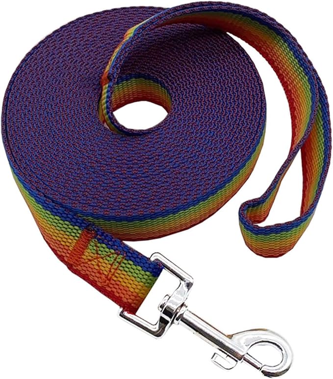 Nylon Training Dog Leash for Small Medium Large Dogs, 15ft 20ft 30ft 50ft Long Leash Dog/Puppy Lead for Obedience Recall Training, Camping (1" x 30ft, Rainbow)