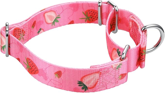 Mikivery Martingale Collar 1 inch Slip On and Off,NO Buckle Gently Tightens Medium and Large Collars