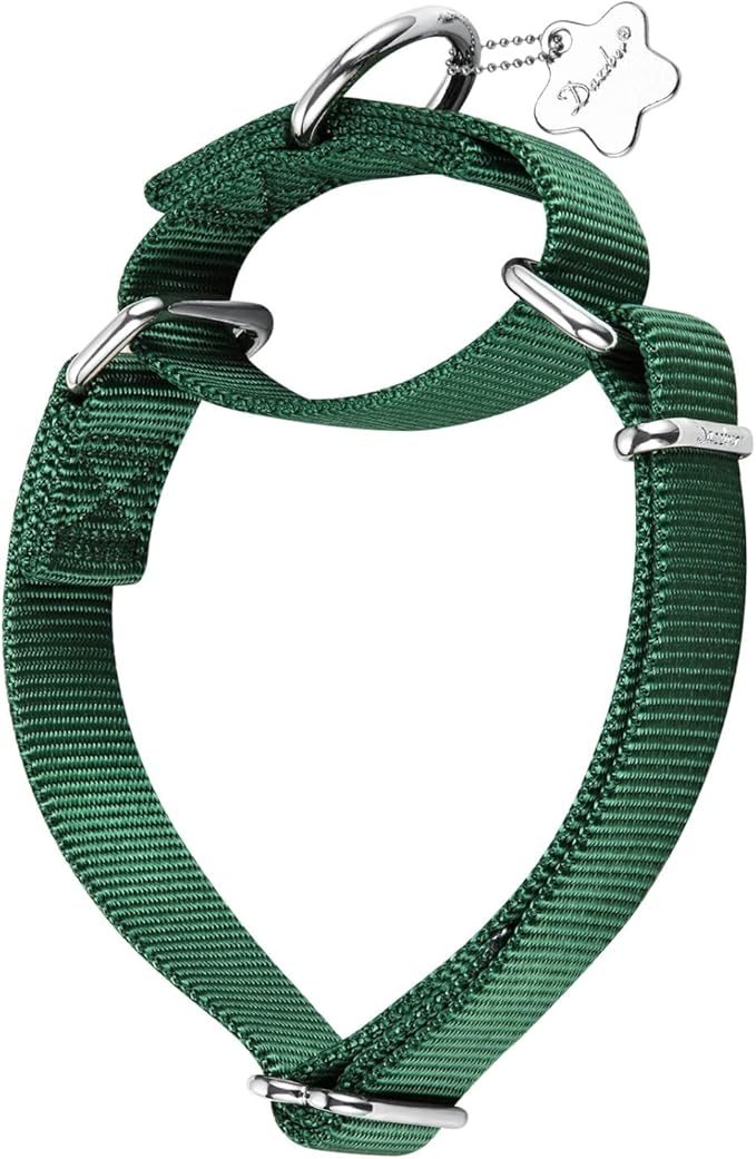 Martingale Dog Collar, No-Buckle Escape-Proof Design, Heavy-Duty Nylon and Welded D-Ring, Adjustable Training Collar for Medium Large Dogs (Dark Green, L)