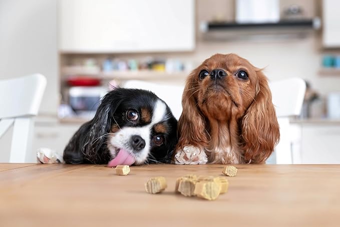Hive Bites Training Treats for Dogs – Peanut Flavor – Small Reward Treats Made with Ground Peanuts & Honey – Vegetarian, No Grain or Soy – 6 oz
