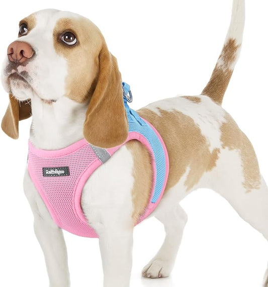 rabbitgoo Small Dog Harness, Step-in Soft Mesh Puppy Vest with Safety Buckle, Breathable Reflective Pet Harness for Small Sized Dogs, Blue & Light Pink M