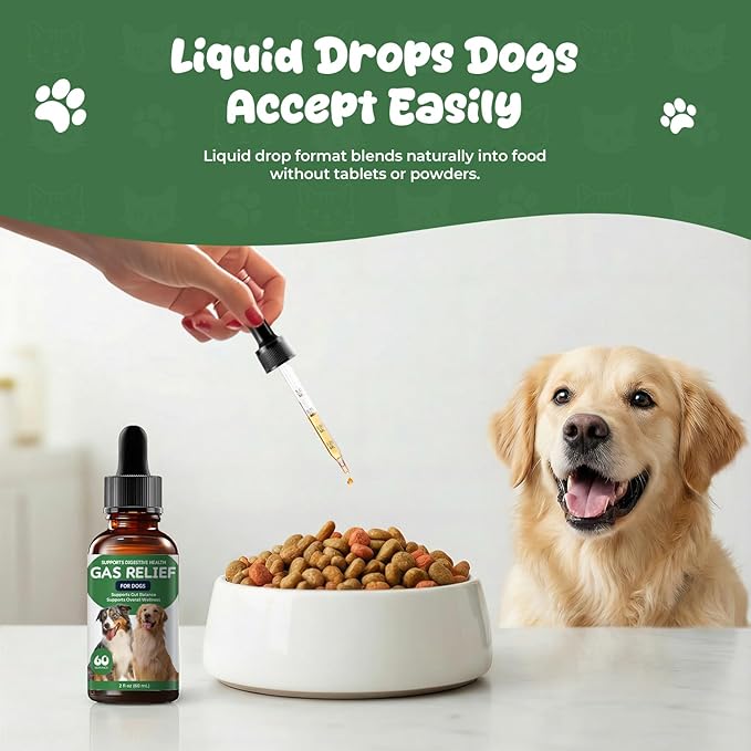 Gas Relief Supplement for Dogs Liquid, Supports Digestive Comfort & Gut Balance, Bacon Flavor, Daily Digestive Care Drops, 2 fl oz (60 mL)
