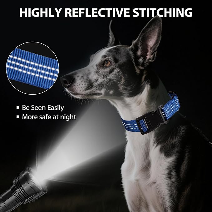 Martingale Dog Collar Quick Release Buckle No Pull Reflective Non-Slip for Medium Large Dogs Training (Blue, Large)