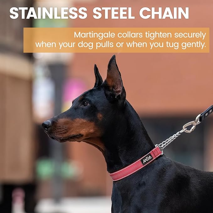 ANDA Martingale Collar for Dogs, Adjustable with Reflective Stainless Steel Chain, No-Pull Escape-Proof Training Collar for Medium and Large Breeds (Red, Medium)