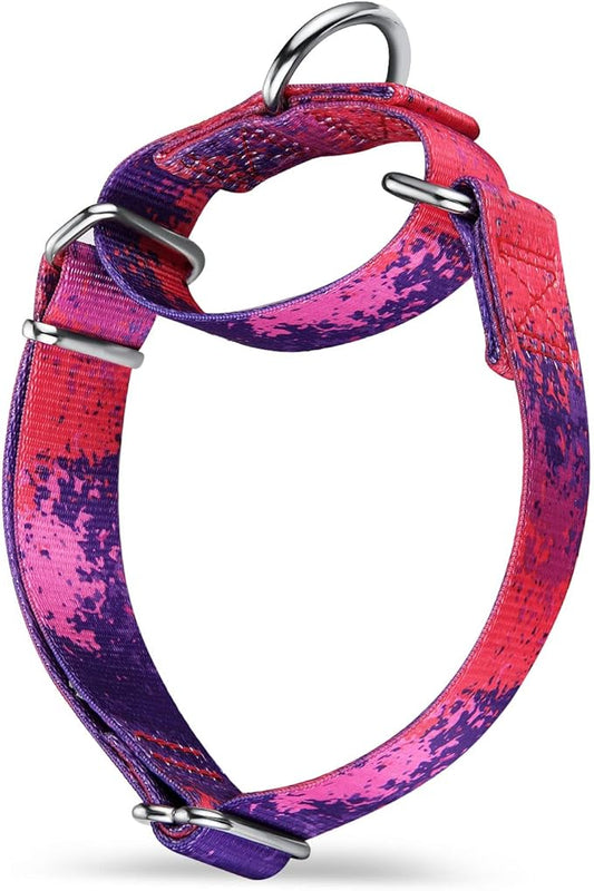 Martingale Dog Collar Escape-Proof for Training - No-Buckle, Durable Polyester Design for Medium Breeds (Purple Secret,M)
