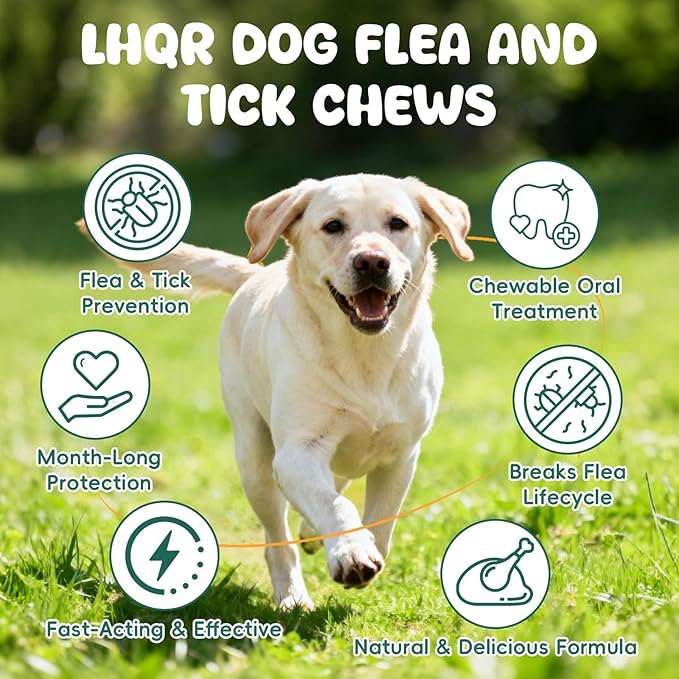 500 PCS Flea and Tick Prevention for Dogs Chewable, Natural Oral Flea and Tick Treatment, Dog Flea Chews Support Skin & Digestive Supplement for Puppies & All Breeds, Chicken Flavor