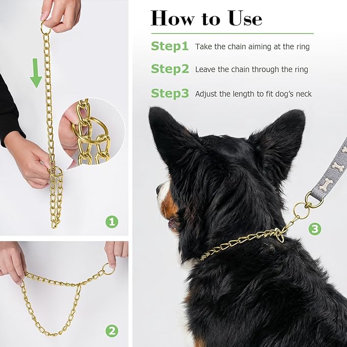 Chain Choke Collar for Dogs, Metal Choke Link Dog Collar Choker Training Heavy Duty Slip Martingale Puppy Collars for XS Small Medium Large Big XL Breed Dogs (Gold, L(Neck Max 20inch) D3.5mm)