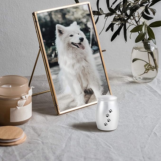 2.67 Inches Small Keepsake Urns for Dog Ashes,Mini Cremation Tiny Urn for Memorial Dog or Cats Pet Ashes with Paw Print