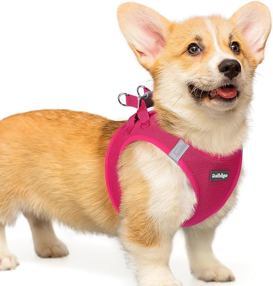 rabbitgoo Small Dog Harness, Step-in Soft Mesh Puppy Vest with Safety Buckle, Breathable Reflective Pet Harness for Small Medium Dogs, Rose Red L