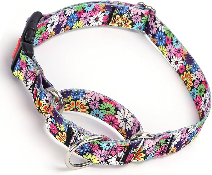 Martingale Dog Collar with Buckle, No Slip Escape Proof Limited Choke Pinch Pet Collars Quick Release Snap with Lock for Small Medium Large Breed Dogs, Colorful Floral S
