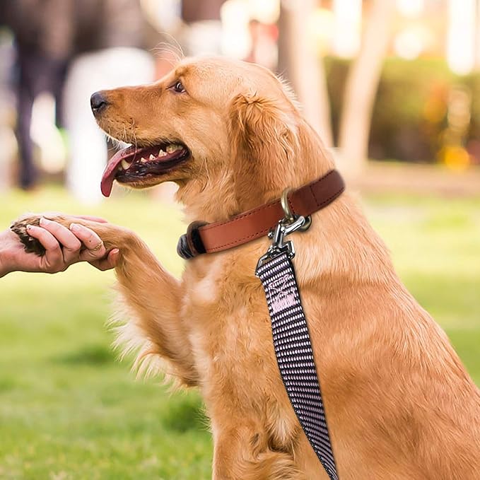 Hi Kiss Dog/Puppy Obedience Recall Training Agility Lead - 15ft 20ft 30ft 50ft 100ft Training Leash - Great for Training, Play, Camping, or Backyard(50ft,BL+PK)