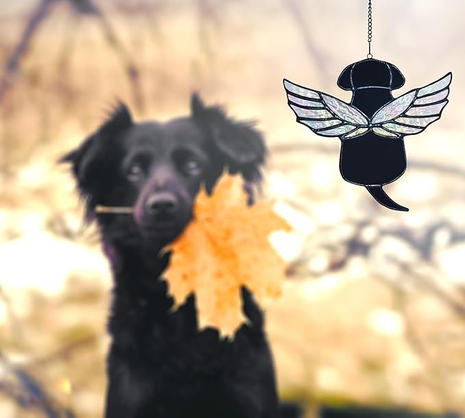 Stained Glass Rainbow Wing Angel Dog Memorial Gift for Loss of Dog Bereavement (Black)