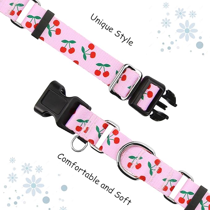 Martingale Collar for Small Dogs with Buckle No Pull Cute Girl Pink Dog Collars (Cherry, Small)