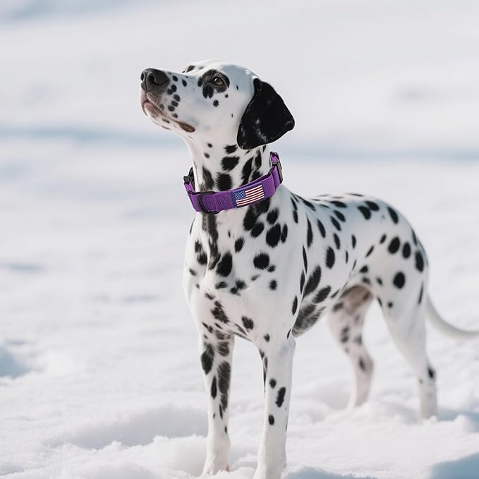 Martingale Dog Collar Quick Release Buckle No Pull Reflective Non-Slip for Medium Large Dogs Training (Purple, Medium)