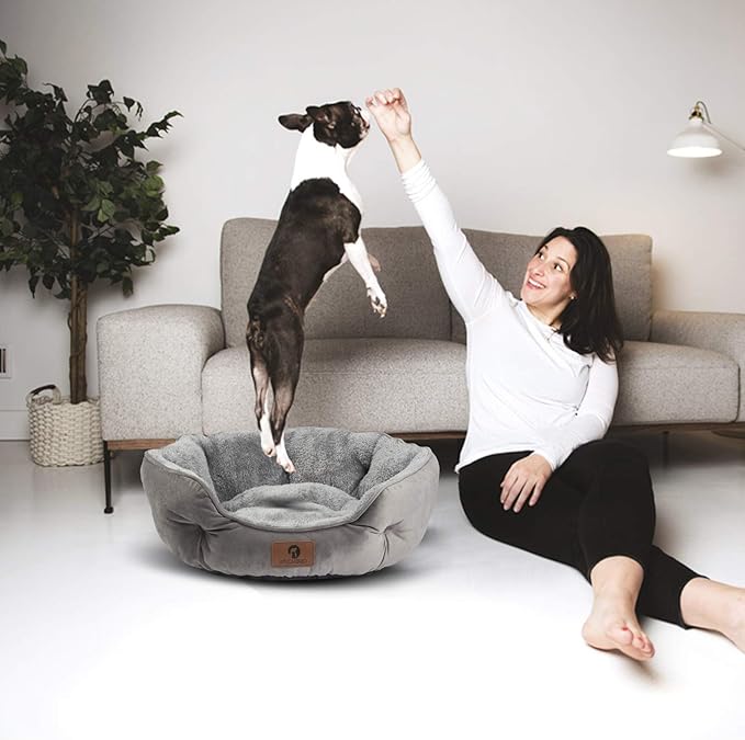 Asvin Small Dog Bed for Small Dogs, Cat Beds for Indoor Cats, Pet Bed for Puppy and Kitty, Extra Soft & Machine Washable with Anti-Slip & Water-Resistant Oxford Bottom, Grey