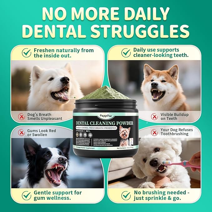 Dog Dental Powder – Teeth Cleaning Powder with 6B CFU Probiotics, Enzymes & Antioxidants, Plaque & Tartar Off, Fresh Breath Support, 75 Days, Mint Chicken Flavor, No Brushing Oral Care