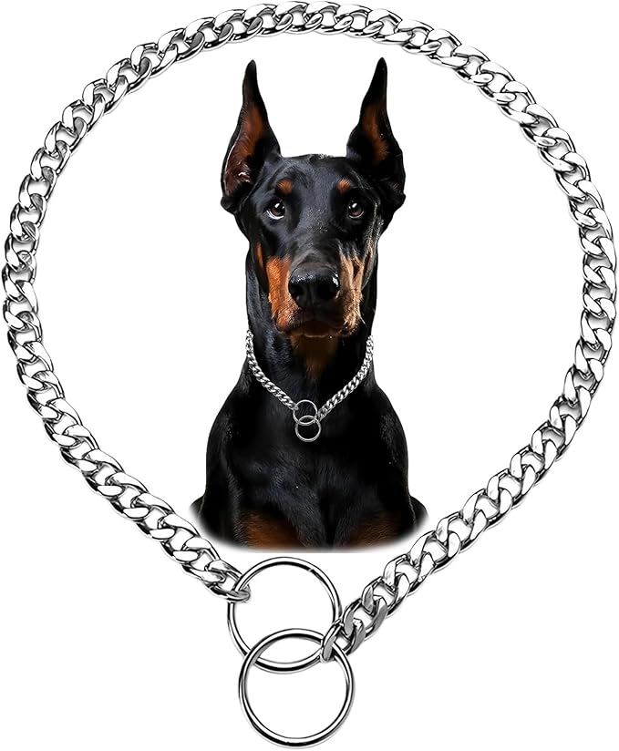 Flat Siver Dog Choker Collar for Medium Dogs, Metal Slip Chain, Collars Heavy Duty Training Martingale Dog Chins for XXS XS Small Large Breed Pets, M