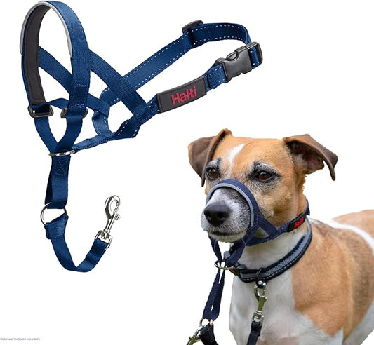 Halti Headcollar - Stop Your Dog Pulling on The Leash. Adjustable, Reflective and Lightweight, with Padded Nose Band. Dog Training Anti-Pull Collar for Small Dogs (Size 1, Cobalt Blue)
