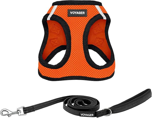Best Pet Supplies Voyager Step-in Air All Weather Mesh Harness and Reflective Dog 5ft Leash Combo with Neoprene Handle, for Small, Medium and Large Breed Puppies - Set (Orange/Black Trim), Large