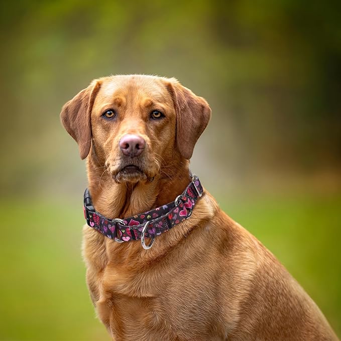 Martingale Collar for Dogs, Girl Dog Collar with Love Heart Design for Small Medium Large Dogs, Adjustable Safety Buckle Dog Collar for Training, Walking, Hunting (L)