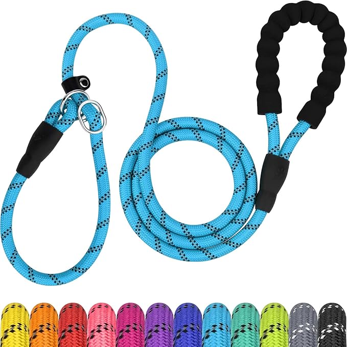 TagME Slip Leads for Dogs that Pull, 6 FT No-Pull Training Leash with Lock, Escape-Proof Design, Reflective & Padded Handle for Large Dogs, Blue