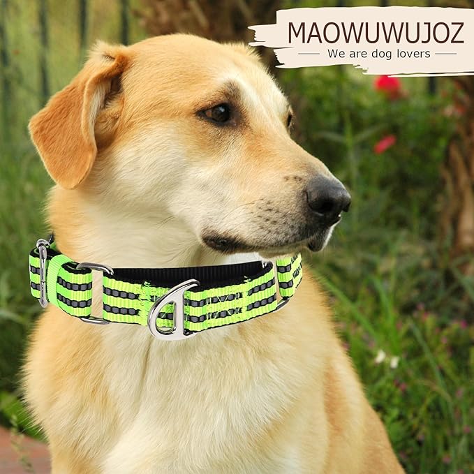 Martingale Collar for Medium Dogs with No Buckle Reflective Nylon No Pull Choke Collar with Padded Comfort for Training, Walking & Overexcited Pulling Control Dogs,Green M