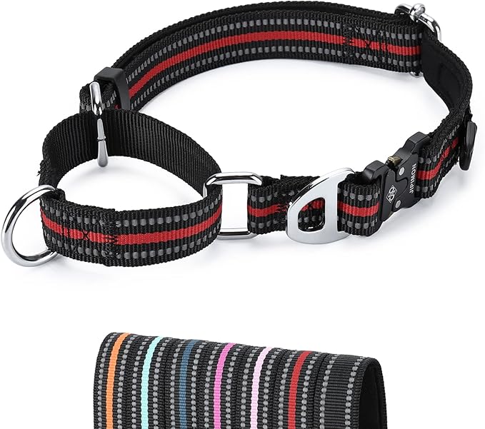 Martingale Dog Collar Reflective Nylon Soft Cushion with Alloy Buckle Dog Collar Martingale Small Medium and Large Dogs (Medium, Red)