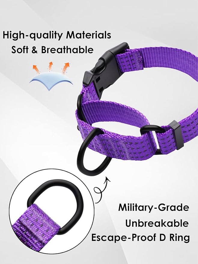 Martingale Collar for Dogs, Adjustable Soft Nylon Dog Collars with Special Design Cute Patterns (Purple, L (1" x 19"-26"))
