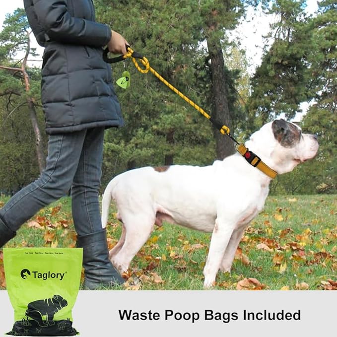 Taglory Rope Dog Leash 6 FT with Comfortable Padded Handle, Highly Reflective Threads Leash and Anti-Tangle Clip for Walking Medium Large Dogs, 1/2 inch, Yellow