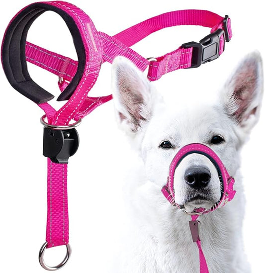 GoodBoy Dog Head Halter with Safety Strap - Stops Heavy Pulling On The Leash - Padded Headcollar for Small Medium and Large Dog Sizes - Head Collar Training Guide Included (Size 4, Pink Nylon)