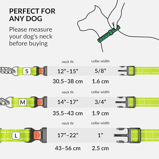 CollarDirect Martingale Dog Collar with Stainless Steel Chain and Quick Release Buckle - Reflective Collar for Large, Medium, Small Dogs - Lime Green, Large (Neck Size 17"-22")