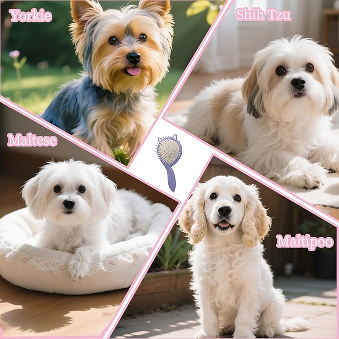Adorable Cat Ear-Shaped Soft Bristle Air Cushion Dog Brush for Small Breeds - Ideal for Yorkie, Shih Tzu, Maltese, Pomeranian, Maltipoo - Gentle Grooming Tool, Puppy Essentials (Purple)