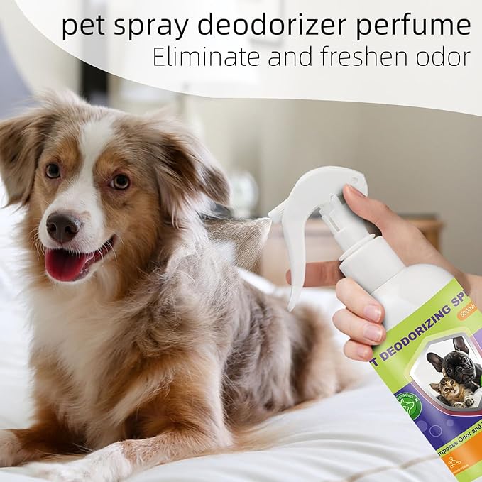 Dog Deterrent Spray and Urine Odor Eliminator Spray, Effective Spray for Furniture and Cat Litter Box Deodorizer, Training Spray for Poop, Pet Room Deodorizing Spray for Smell on Carpet