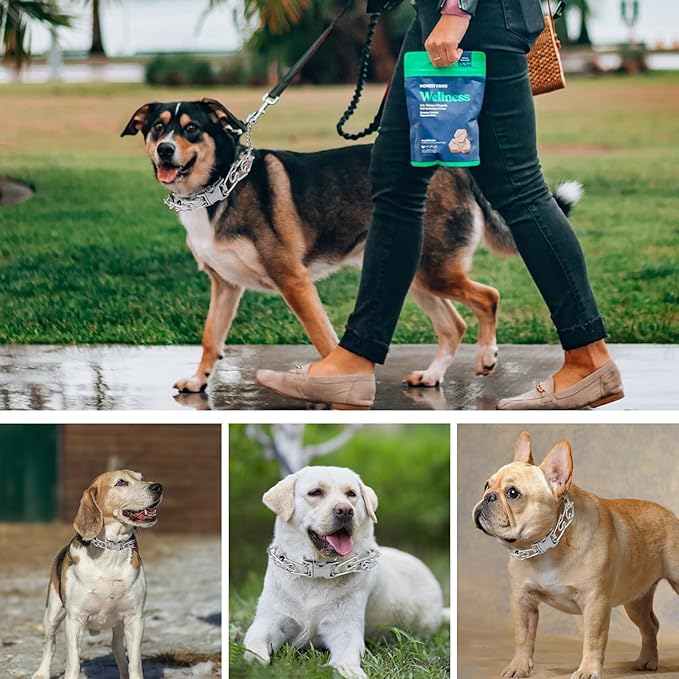 Pinch Collar for Dogs, Prong Training Collar with Quick Release Buckle for Dog Pulling Behavior Correction, Adjustable Pinch Leashes (Small / 12.5-18" Neck Size)