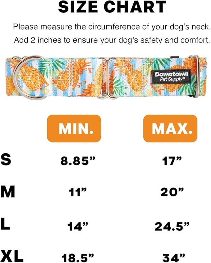 Downtown Pet Supply - Martingale Collar for Dogs - Dog Training Collar - Big, Wide & Thick Dog Collar - Escape-Proof, Weatherproof, Durable and Comfortable - Pineapple - Small Dog Collar