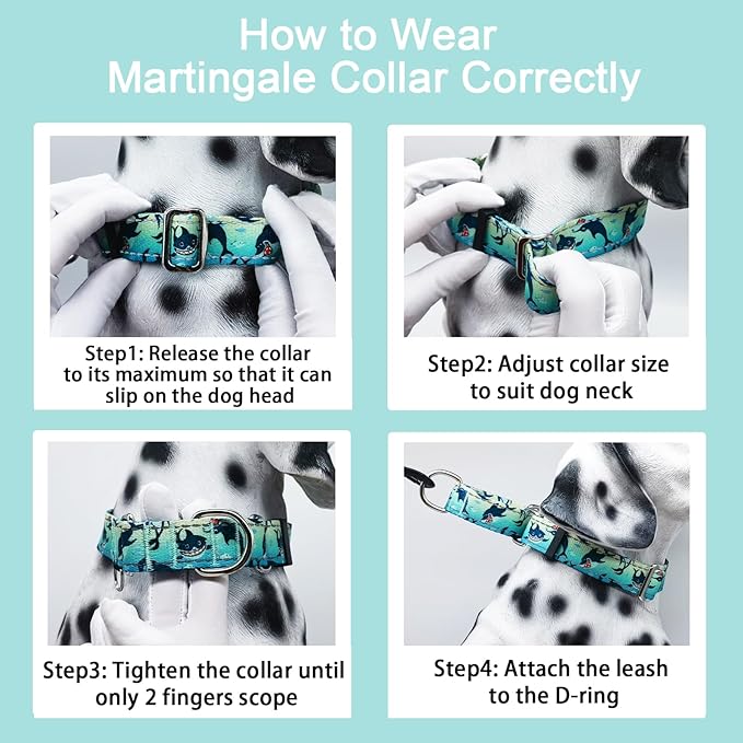 Reflective Martingale Collar for Dogs Nylon Training Collar with No Buckle, No Pull Boy Male Dog Collar for Small Dogs（Green Shark，S）