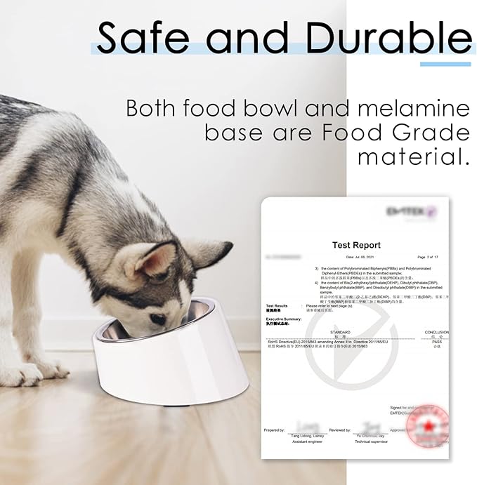 SuperDesign Mess Free 15° Slanted Bowl for Dogs and Cats, Tilted Angle Bulldog Bowl Dog Feeder, Non-Skid & Non-Spill, Easier to Reach Food M/1 Cup White