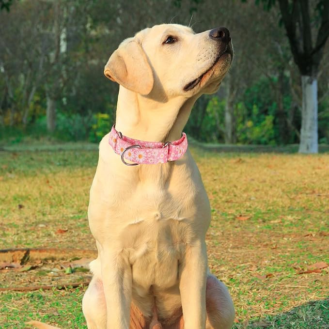 Martingale Collar for Large Dogs, Pink Daisy Martingale Collar Adjustable, No-Slip, Durable, & Soft Webbing Dog Collar for Male and Female Dogs Ideal for Training & Walking