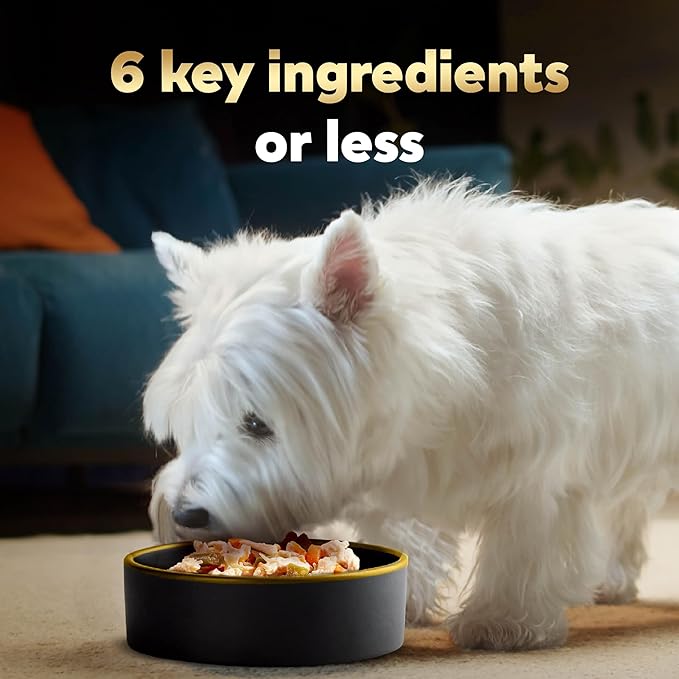Cesar Simply Crafted Adult Wet Dog Food Toppers for Dry Food, Chicken, Duck, Purple Potatoes, Pumpkin, Green Beans & Brown Rice, 1.3 oz Tubs, 10 Count
