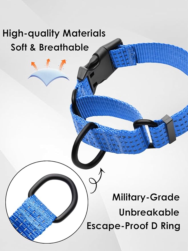 Martingale Collar for Dogs, Adjustable Soft Nylon Dog Collars with Special Design Cute Patterns (Blue, M (1" x 15.5"-19.5"))